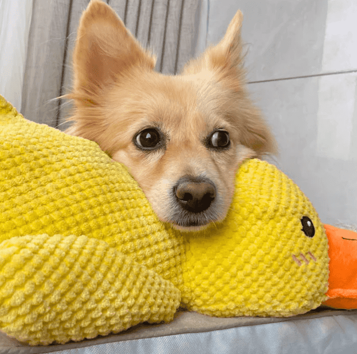 FREE Today🎁——Quacker® Calming Duck Toy