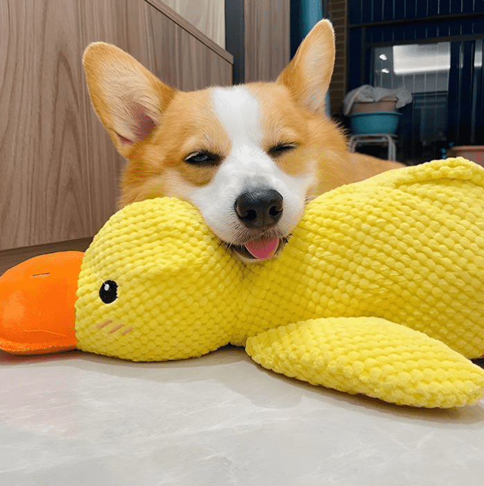 FREE Today🎁——Quacker® Calming Duck Toy